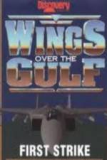 Watch Wings Over the Gulf Vol  1  First Strike Myflixer