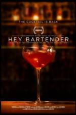 Watch Hey Bartender Myflixer