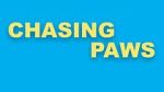 Watch Chasing Paws (Short 2020) Myflixer