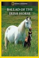 Watch Ballad of the Irish Horse Myflixer
