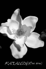 Watch Kataude Myflixer