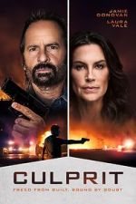 Watch Culprit Myflixer
