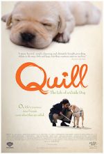 Watch Quill: The Life of a Guide Dog Myflixer