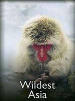 Watch Wildest Asia Myflixer