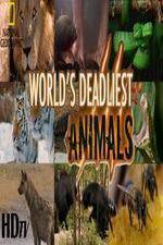 Watch National Geographic - Worlds Deadliest Animal Battles Myflixer