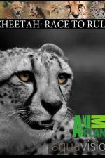 Watch Cheetah: Race to Rule Myflixer