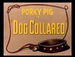 Watch Dog Collared (Short 1950) Myflixer