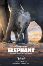Watch Elephant Myflixer