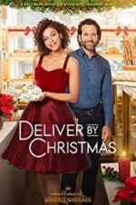 Watch Deliver by Christmas Myflixer