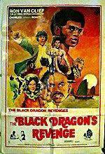 Watch The Black Dragon's Revenge Myflixer