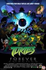 Watch Teenage Mutant Ninja Turtles Turtles Forever Myflixer