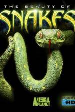 Watch The Beauty of Snakes Myflixer