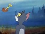 Watch The Cat and the Mermouse Myflixer