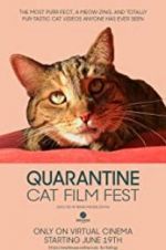 Watch Quarantine Cat Film Fest Myflixer