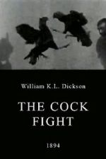 Watch The Cock Fight Myflixer