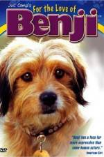 Watch For the Love of Benji Myflixer