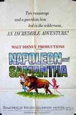 Watch Napoleon and Samantha Myflixer