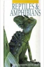 Watch Reptiles and Amphibians Myflixer