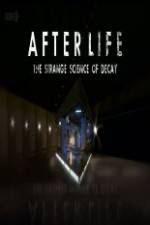 Watch After Life: The strange Science Of Decay Myflixer