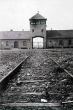 Watch AUSCHWITZ: FRENZIED KILLING Myflixer