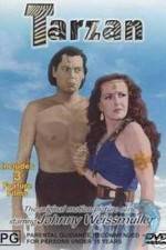 Watch Tarzan's Desert Mystery Myflixer
