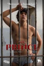 Watch The Prince Myflixer