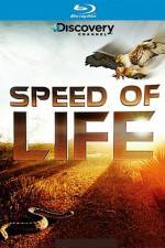 Watch Speed of Life Myflixer