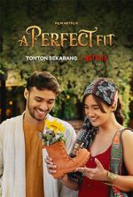 Watch A Perfect Fit Myflixer