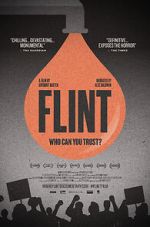 Watch Flint Myflixer