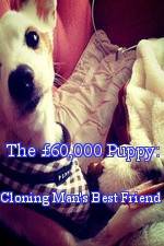 Watch The �60,000 Puppy: Cloning Man's Best Friend Myflixer