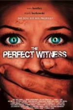 Watch The Ungodly Myflixer
