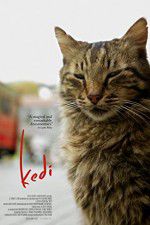 Watch Kedi Myflixer