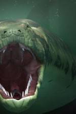 Watch The World's Largest Snake Myflixer