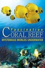 Watch Fascination Coral Reef: Mysterious Worlds Underwater Myflixer