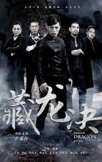 Watch Hidden Dragon Battle Myflixer