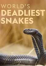 Watch World's Deadliest Snakes Myflixer