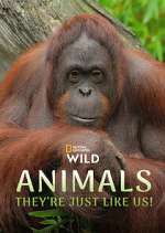 Watch Animals, They\'re Just Like Us! Myflixer