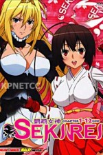 Watch Sekirei Myflixer