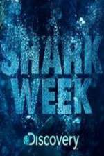 Watch Shark Week Myflixer