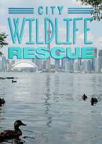 Watch City Wildlife Rescue Myflixer
