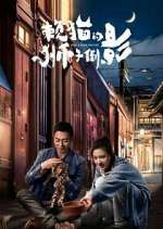 Watch The Lion's Secret Myflixer