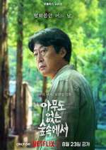 Watch The Frog Myflixer