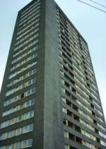 Watch High Times Myflixer