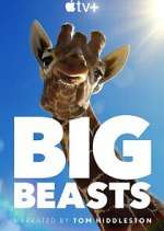Watch Big Beasts Myflixer