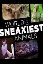 Watch World's Sneakiest Animals Myflixer