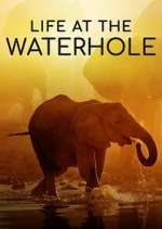 Watch Life at the Waterhole Myflixer