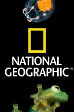 Watch Nat Geo Amazing! Myflixer