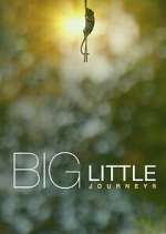 Watch Big Little Journeys Myflixer