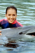 Watch Flipper (The New Adventures of Flipper) Myflixer