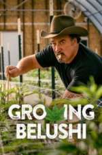 Watch Growing Belushi Myflixer
